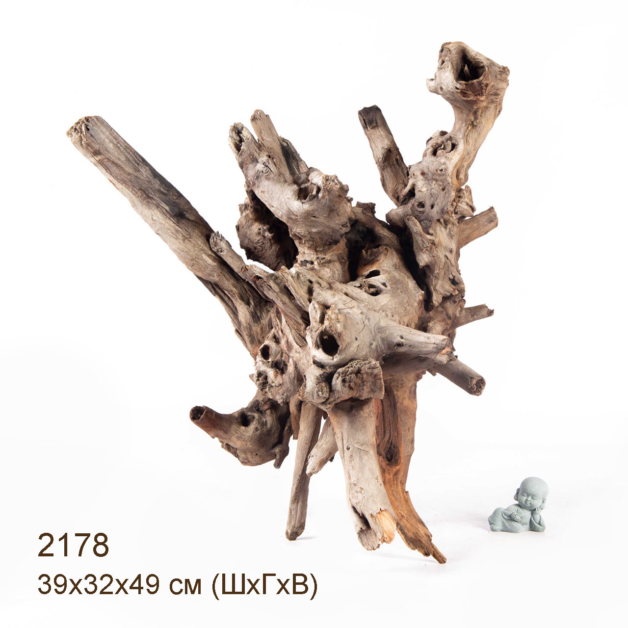 Коряга MASHA BLOOM "Железное дерево" затонувшая мангровая отборная 2178