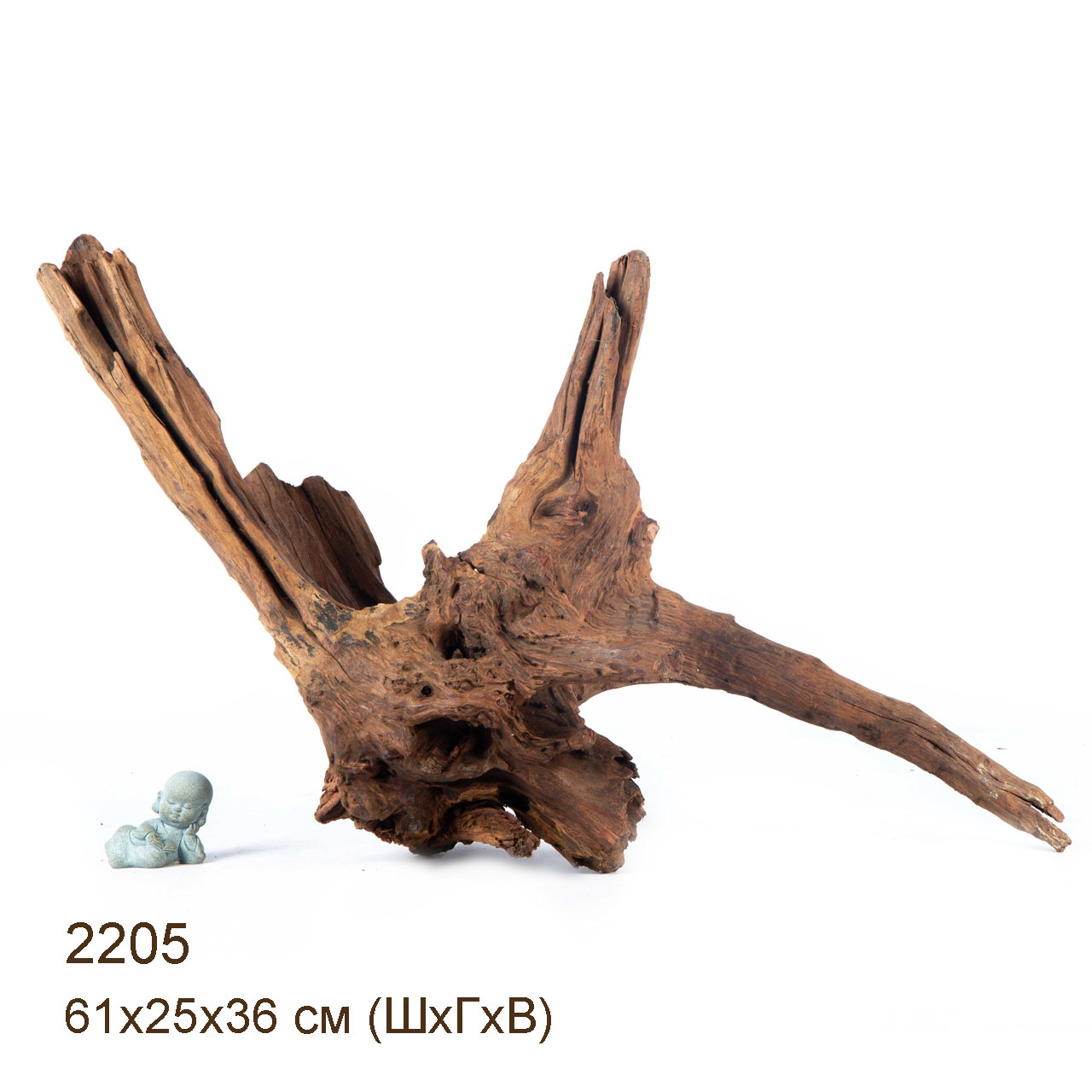 Коряга MASHA BLOOM "Железное дерево" затонувшая мангровая отборная 2205