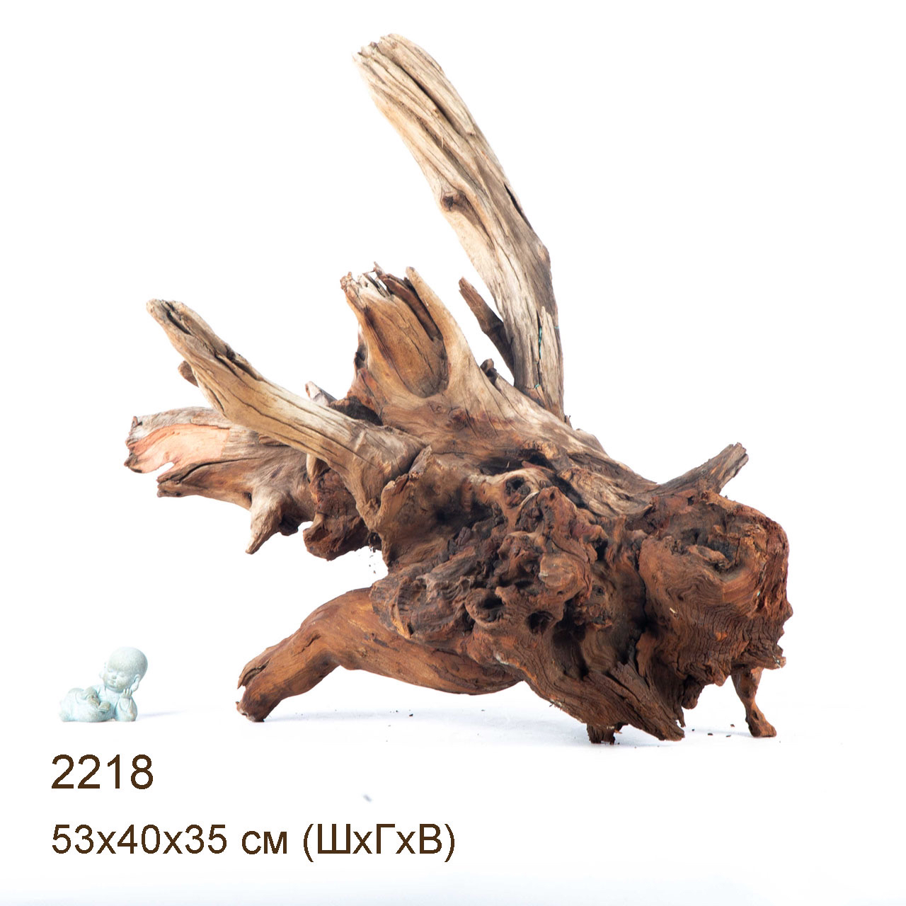 Коряга MASHA BLOOM "Железное дерево" затонувшая мангровая отборная 2218