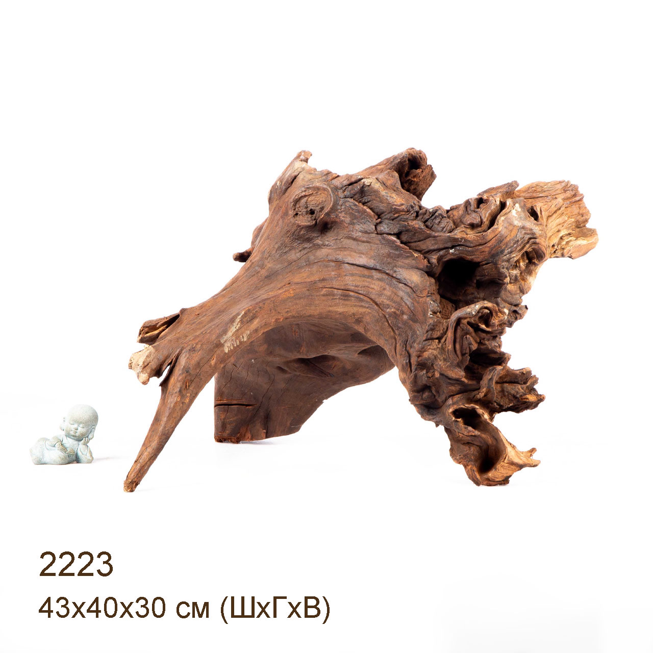 Коряга MASHA BLOOM "Железное дерево" затонувшая мангровая отборная 2223