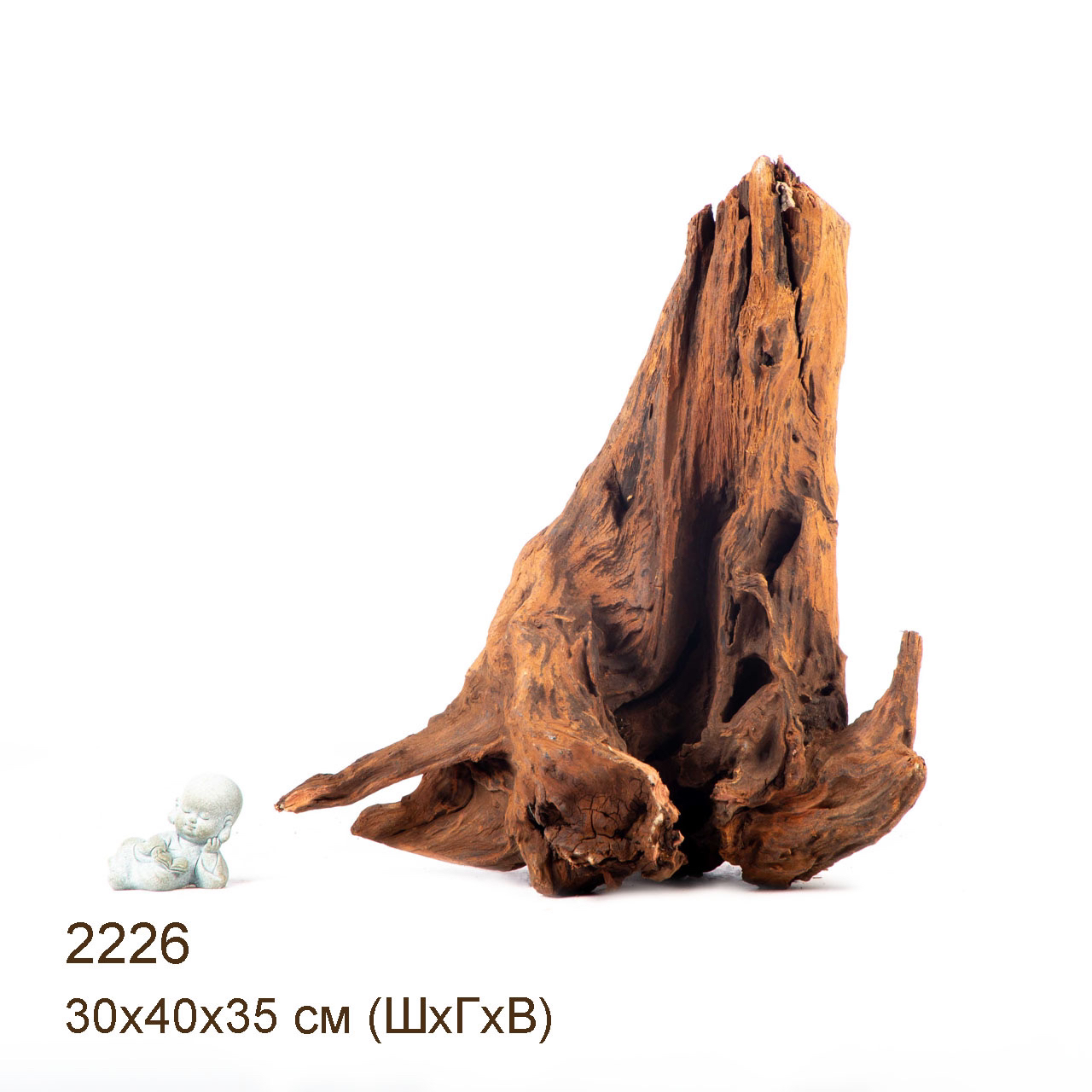 Коряга MASHA BLOOM "Железное дерево" затонувшая мангровая отборная 2226