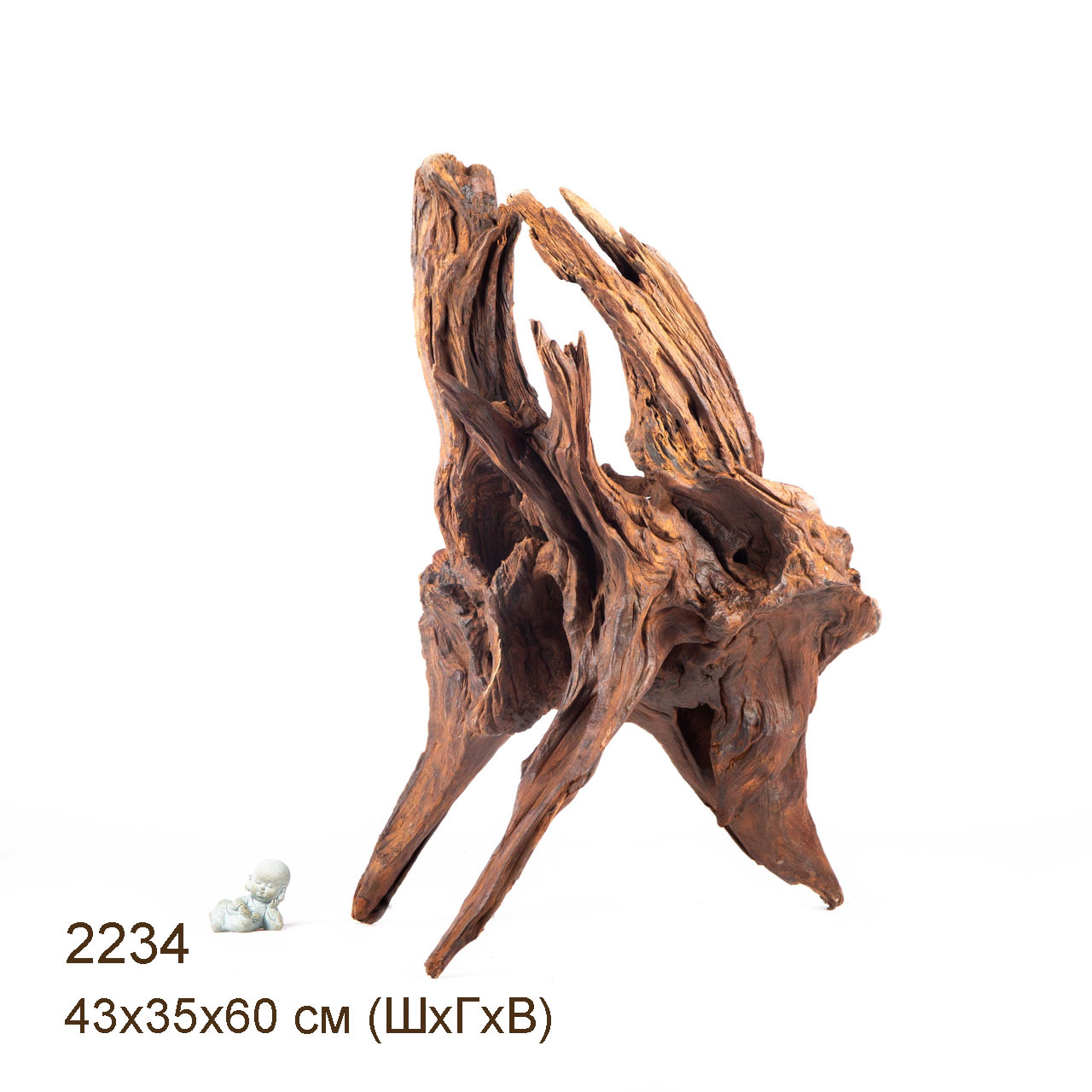 Коряга MASHA BLOOM "Железное дерево" затонувшая мангровая отборная 2234