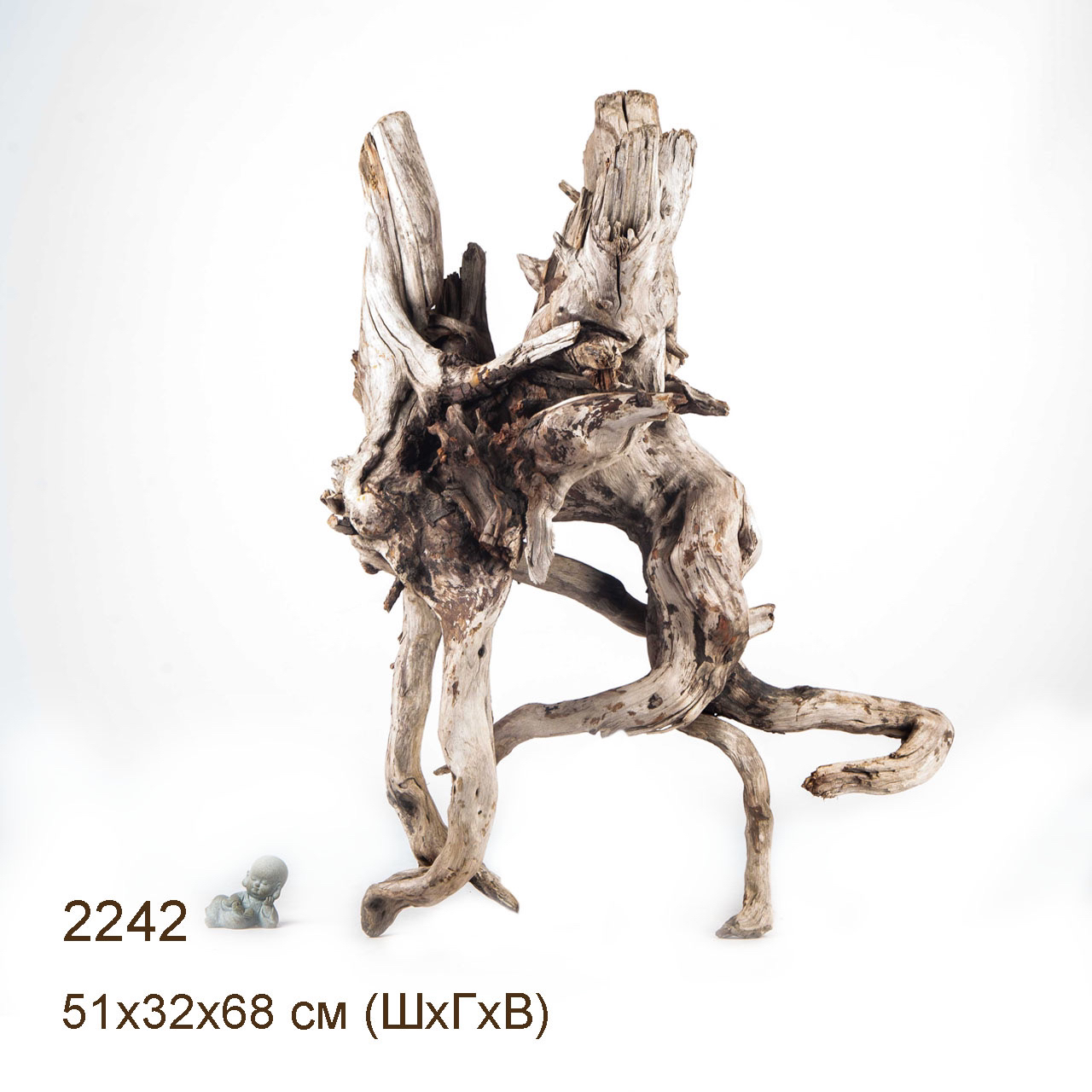 Коряга MASHA BLOOM "Железное дерево" затонувшая мангровая отборная 2242