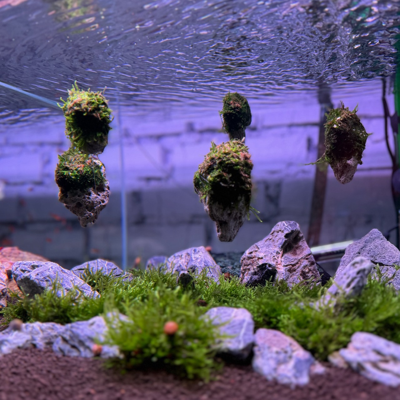 Декорация MASHA BLOOM Парящий камень