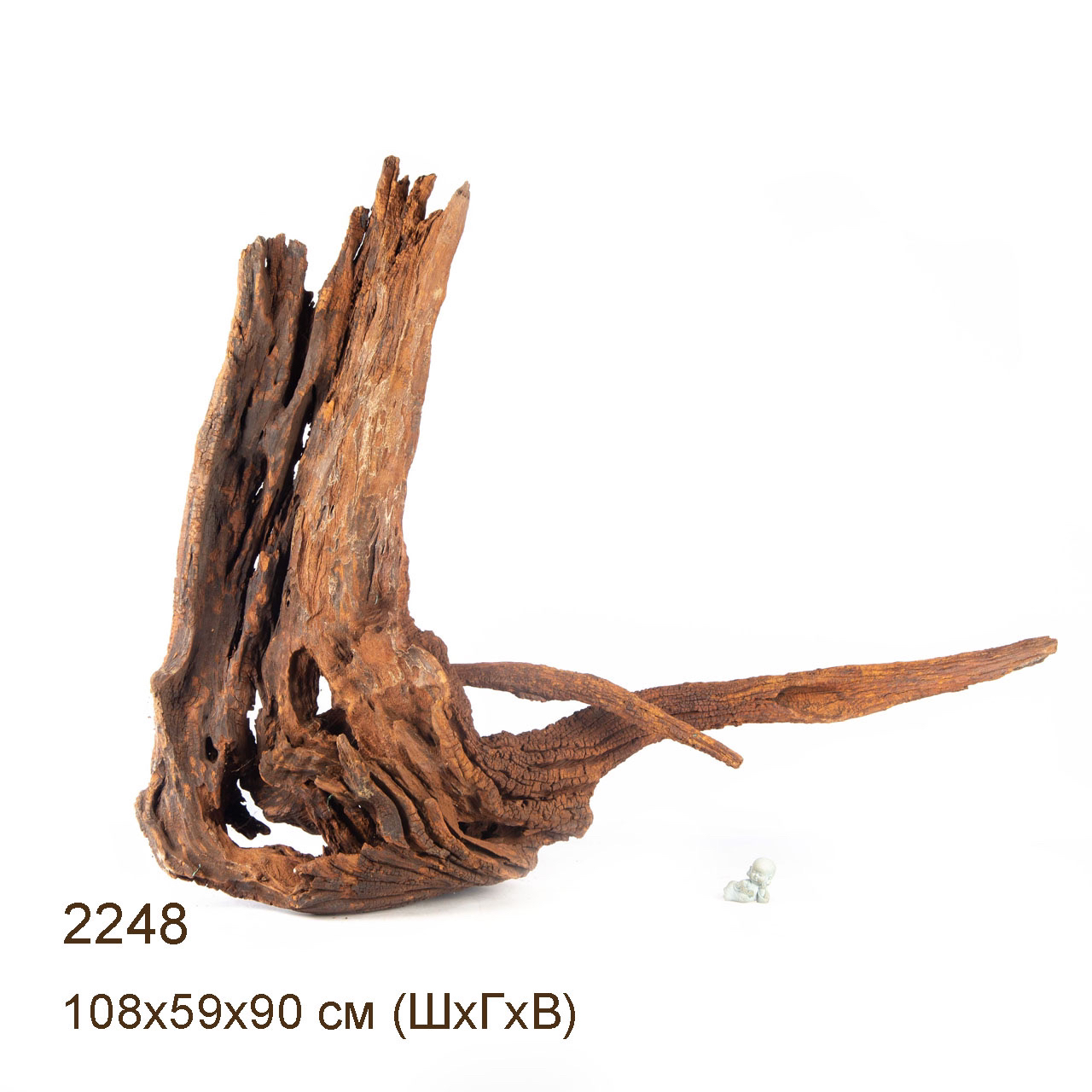 Коряга MASHA BLOOM "Железное дерево" затонувшая мангровая весовая 2248