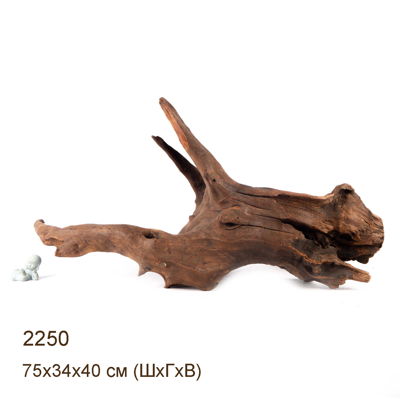 Коряга MASHA BLOOM "Железное дерево" затонувшая мангровая весовая 2250