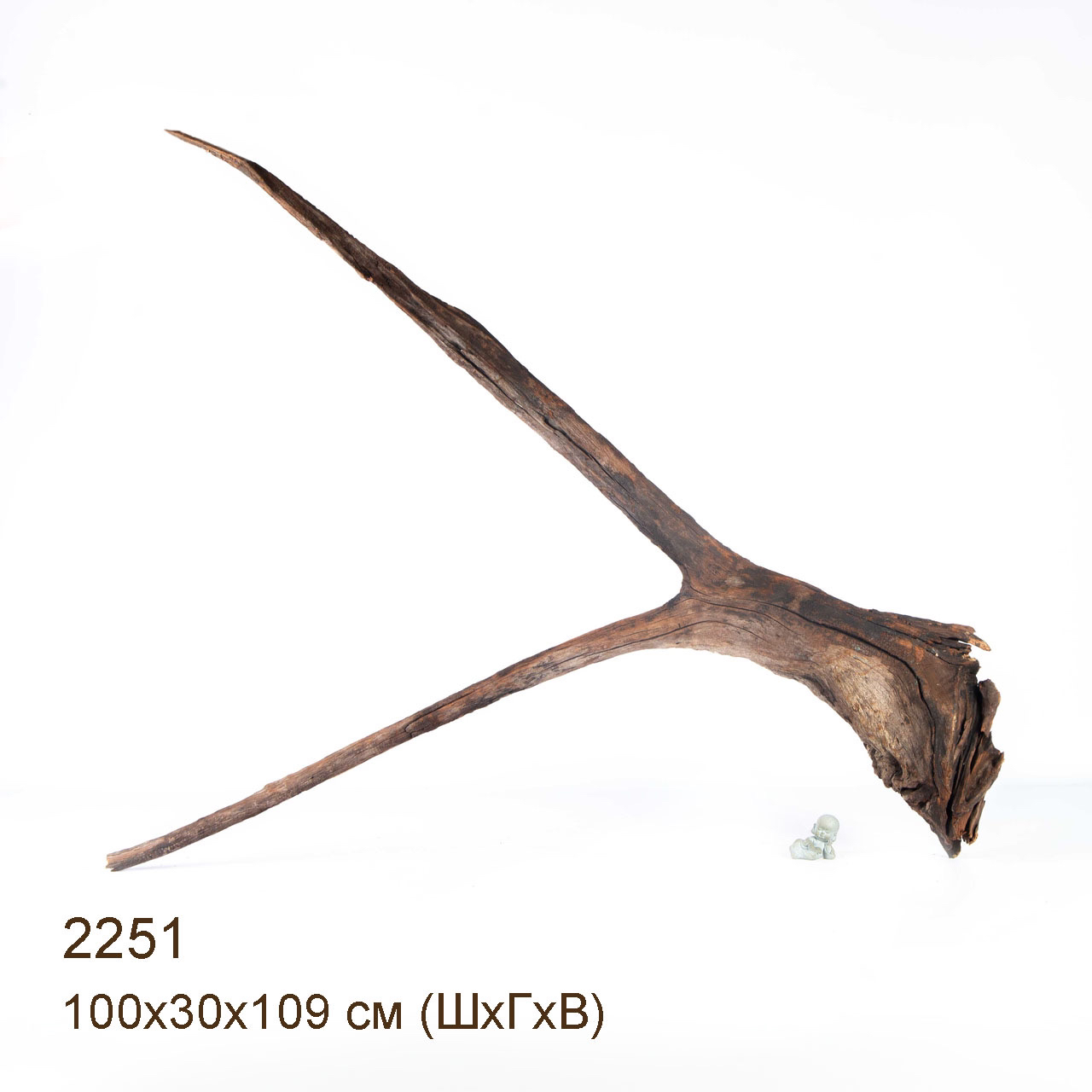 Коряга MASHA BLOOM "Железное дерево" затонувшая мангровая весовая 2251