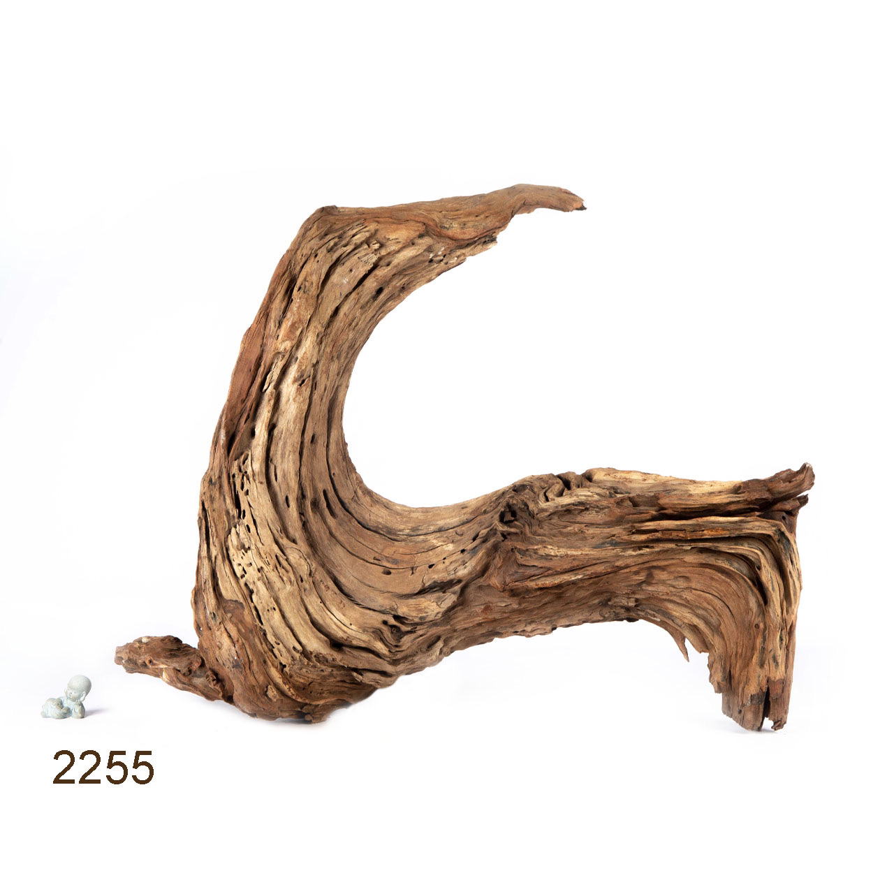 Коряга MASHA BLOOM "Железное дерево" затонувшая мангровая весовая 2255