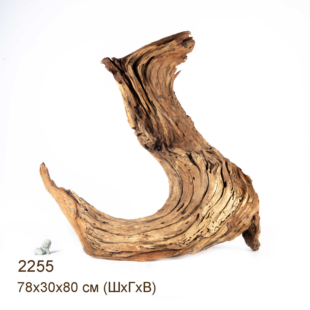 Коряга MASHA BLOOM "Железное дерево" затонувшая мангровая весовая 2255