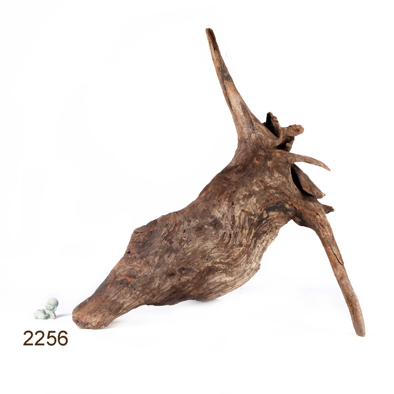 Коряга MASHA BLOOM "Железное дерево" затонувшая мангровая весовая 2256