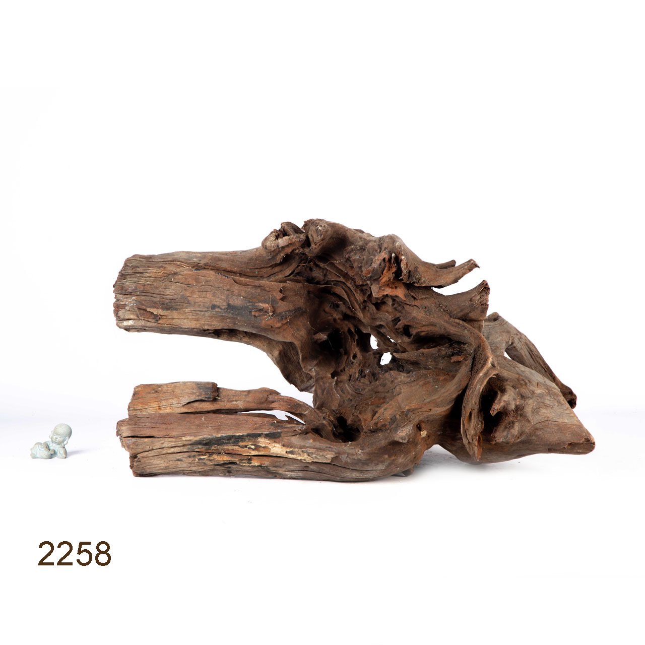 Коряга MASHA BLOOM "Железное дерево" затонувшая мангровая весовая 2258