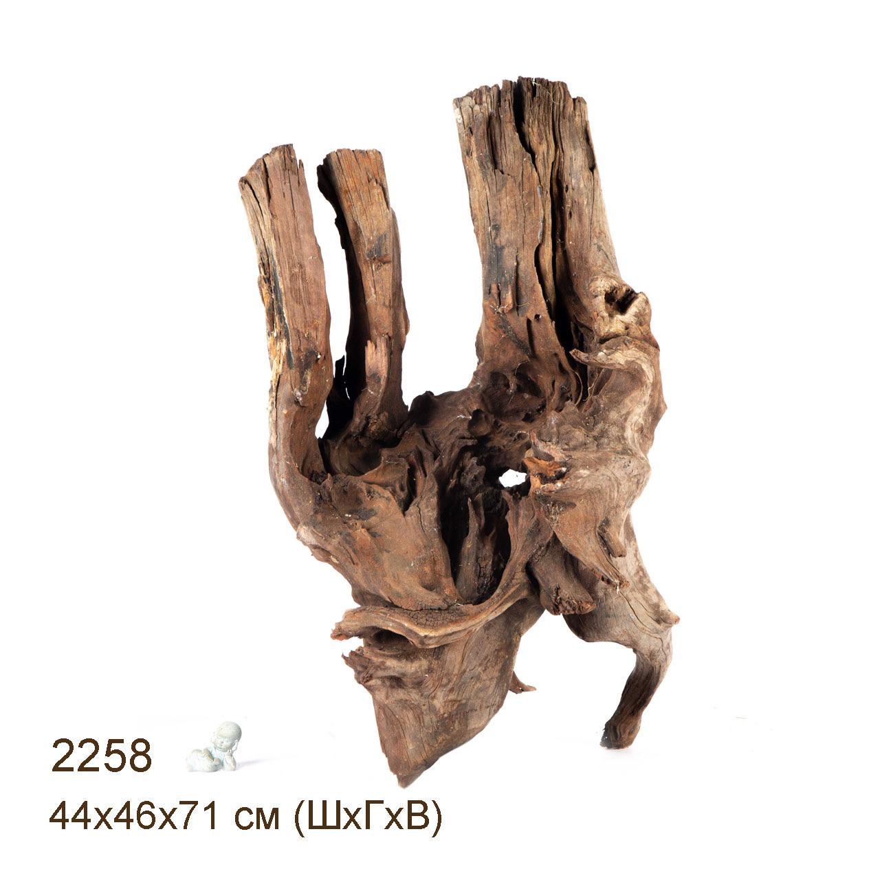 Коряга MASHA BLOOM "Железное дерево" затонувшая мангровая весовая 2258