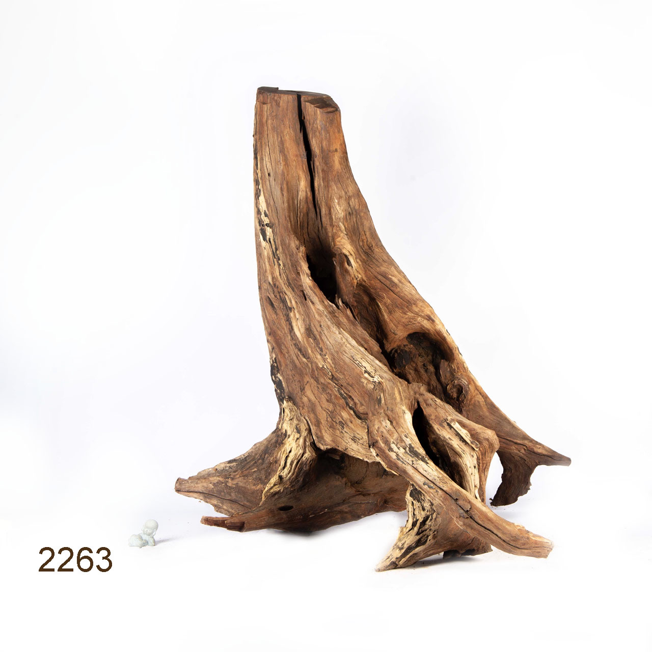 Коряга MASHA BLOOM "Железное дерево" затонувшая мангровая весовая 2263