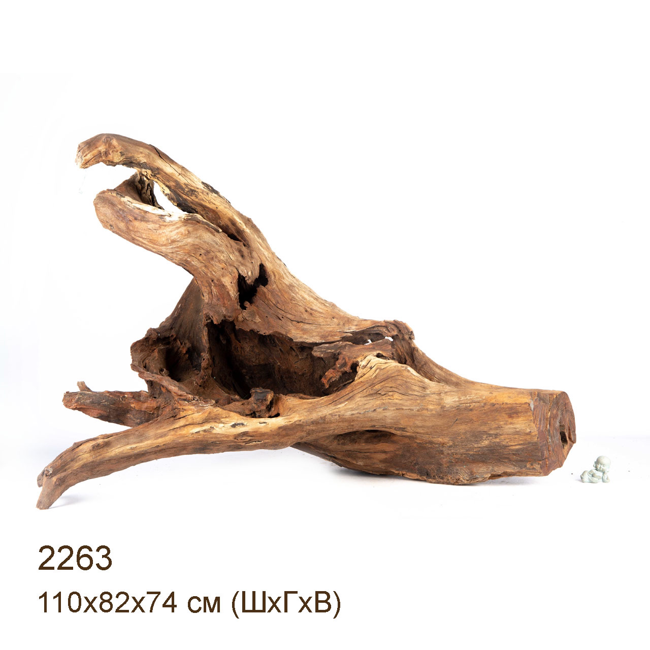 Коряга MASHA BLOOM "Железное дерево" затонувшая мангровая весовая 2263