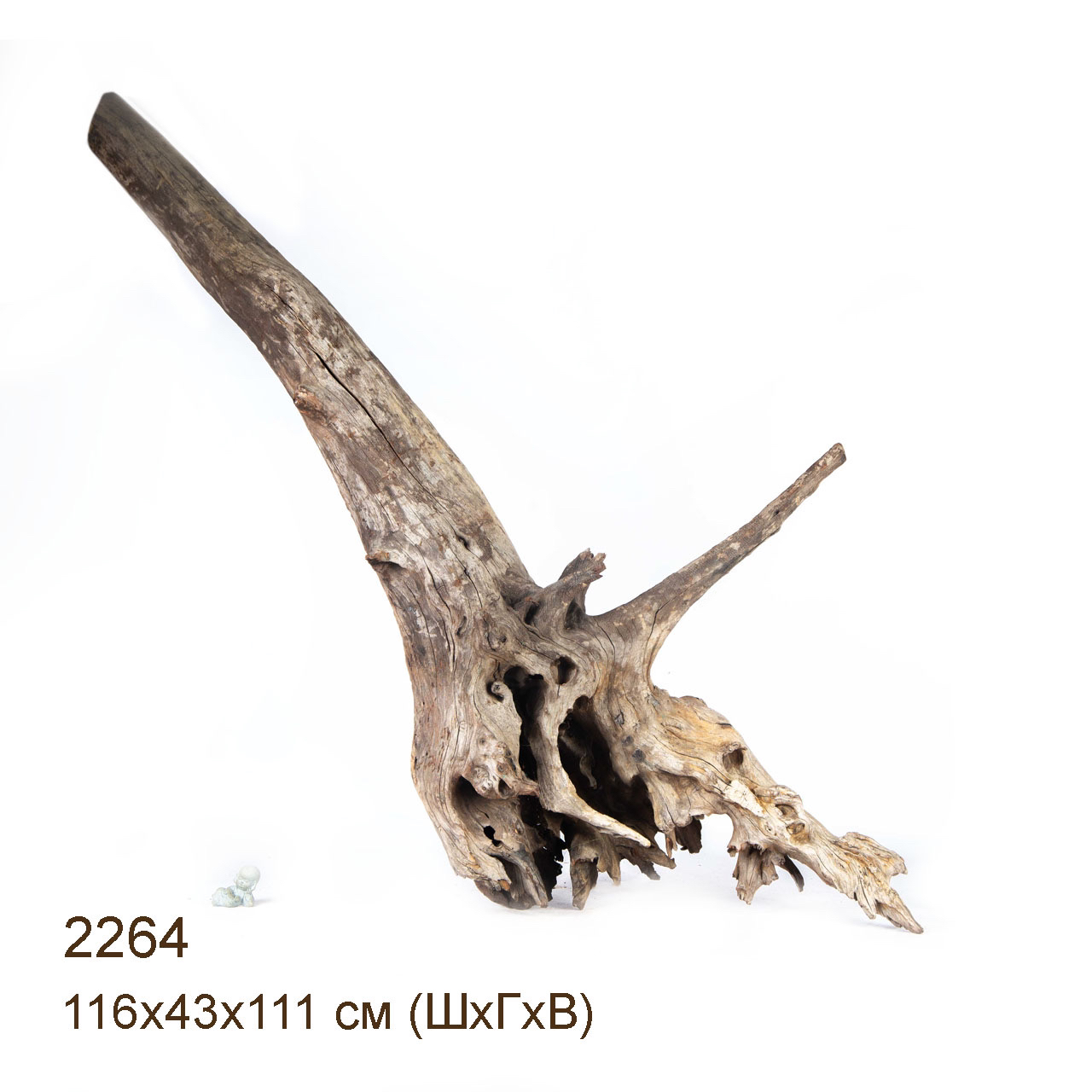 Коряга MASHA BLOOM "Железное дерево" затонувшая мангровая весовая 2264