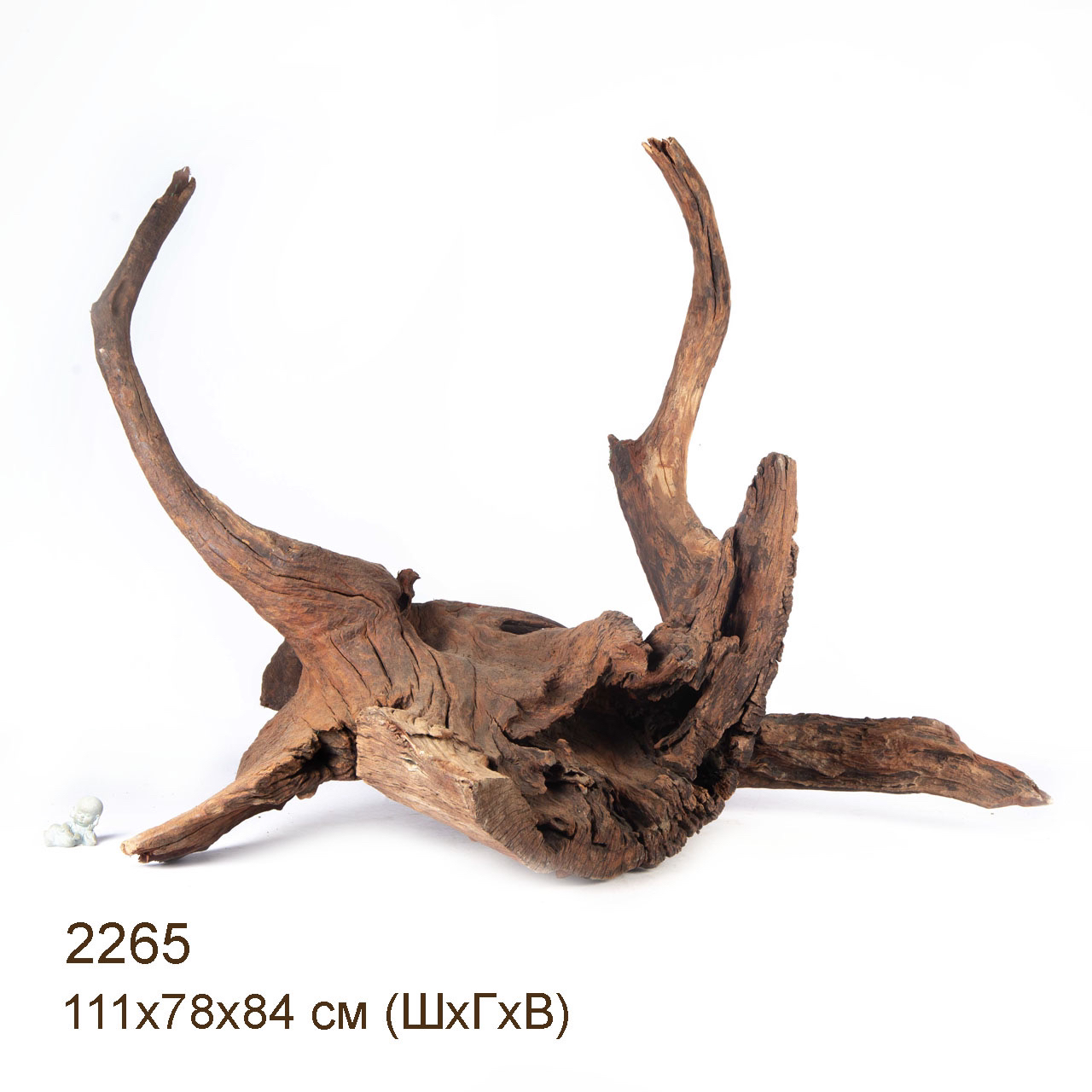 Коряга MASHA BLOOM "Железное дерево" затонувшая мангровая весовая 2265