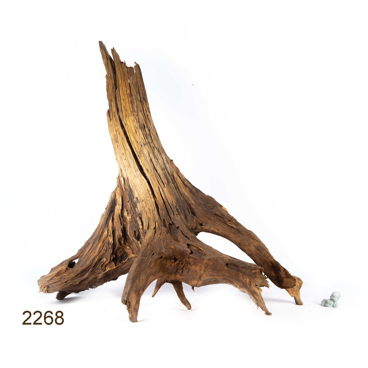 Коряга MASHA BLOOM "Железное дерево" затонувшая мангровая весовая 2268