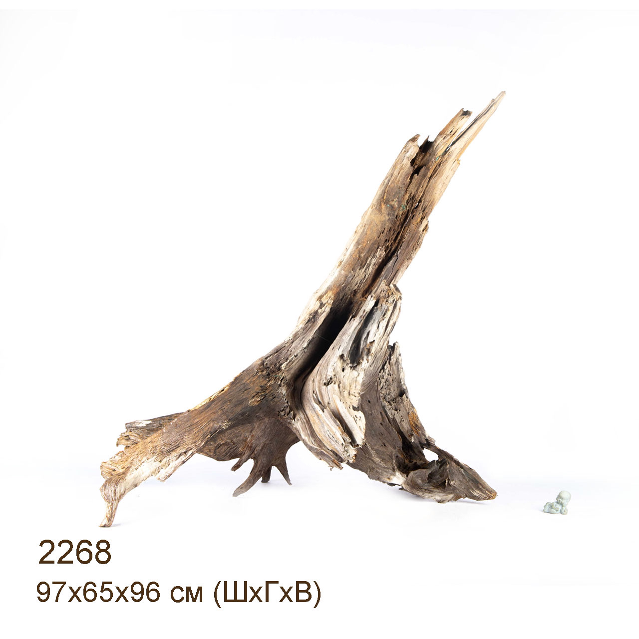 Коряга MASHA BLOOM "Железное дерево" затонувшая мангровая весовая 2268