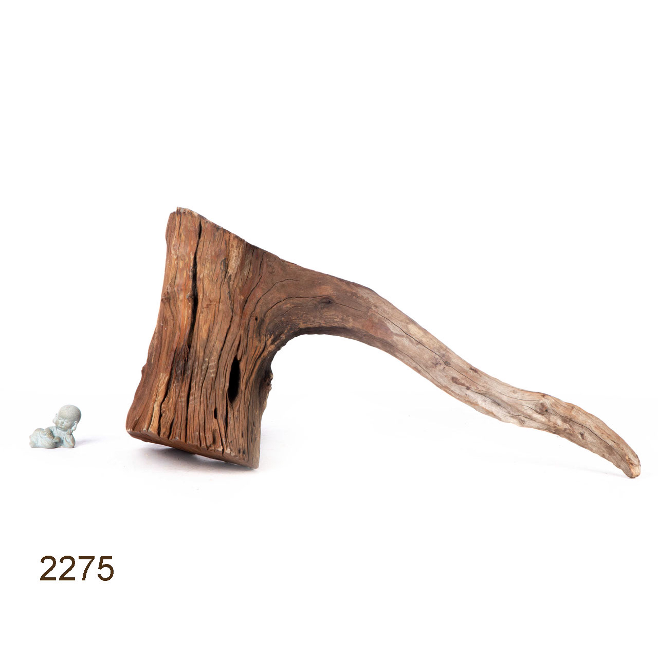 Коряга MASHA BLOOM "Железное дерево" затонувшая мангровая весовая 2275