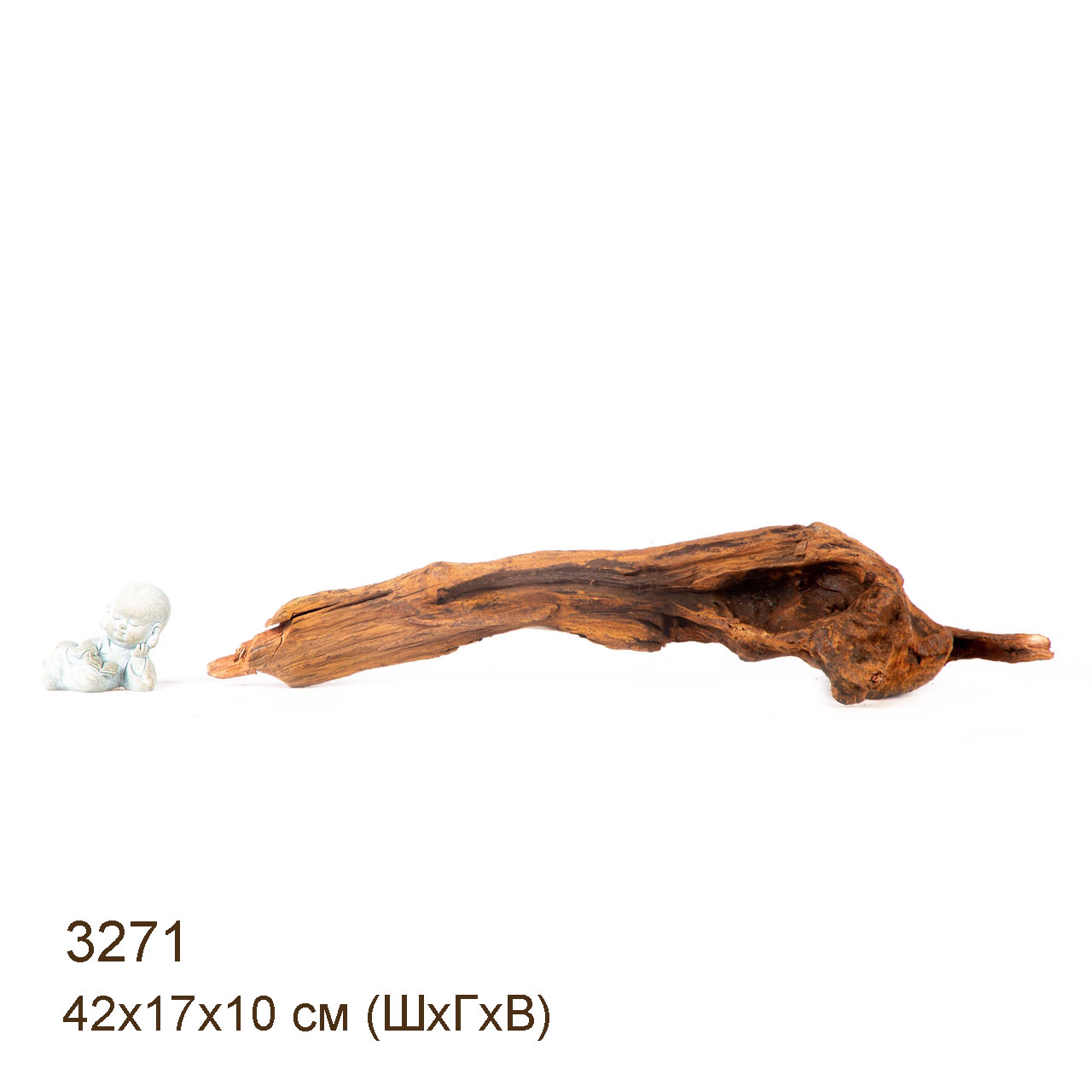 Коряга MASHA BLOOM "Железное дерево" затонувшая мангровая M - 3271