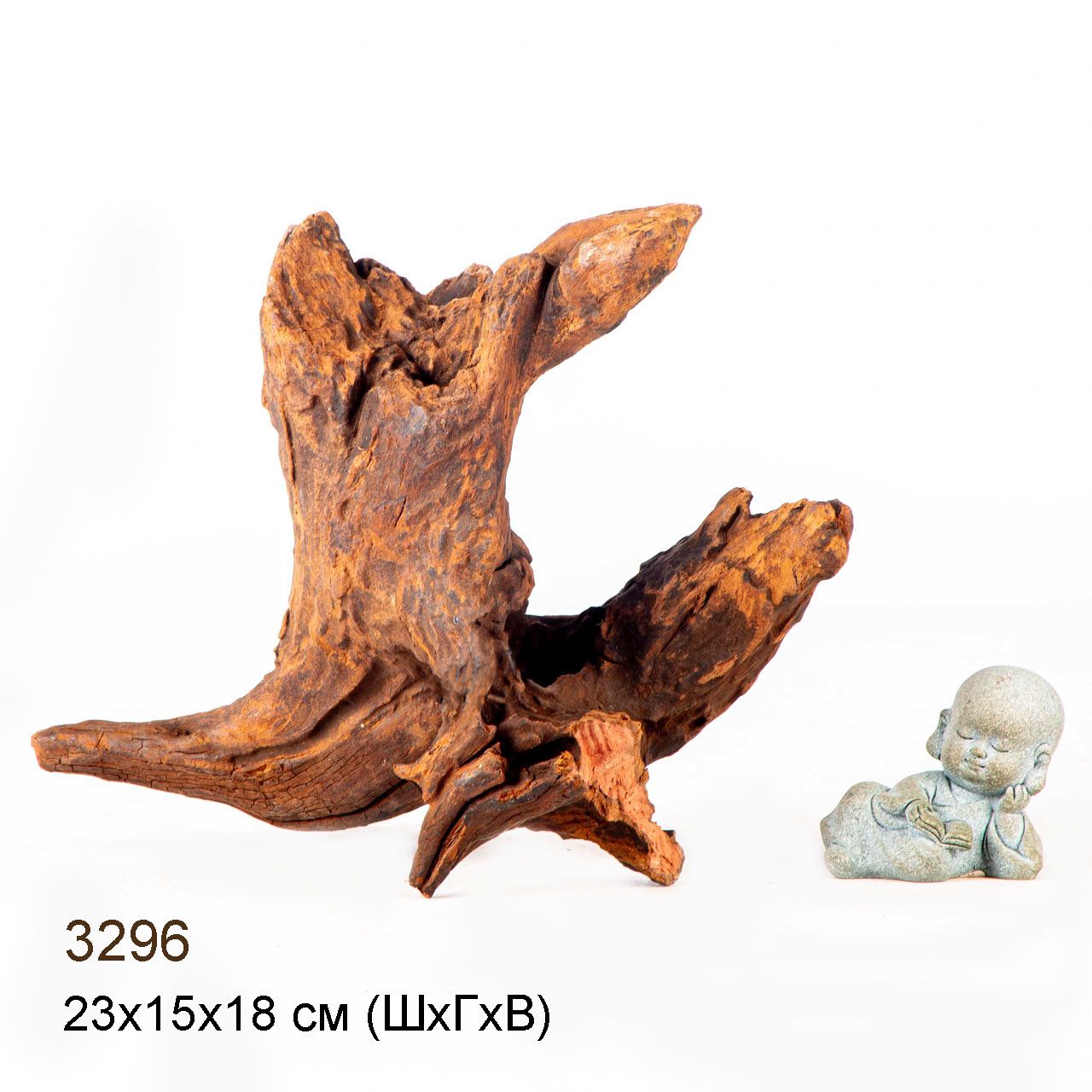 Коряга MASHA BLOOM "Железное дерево" затонувшая мангровая M - 3296