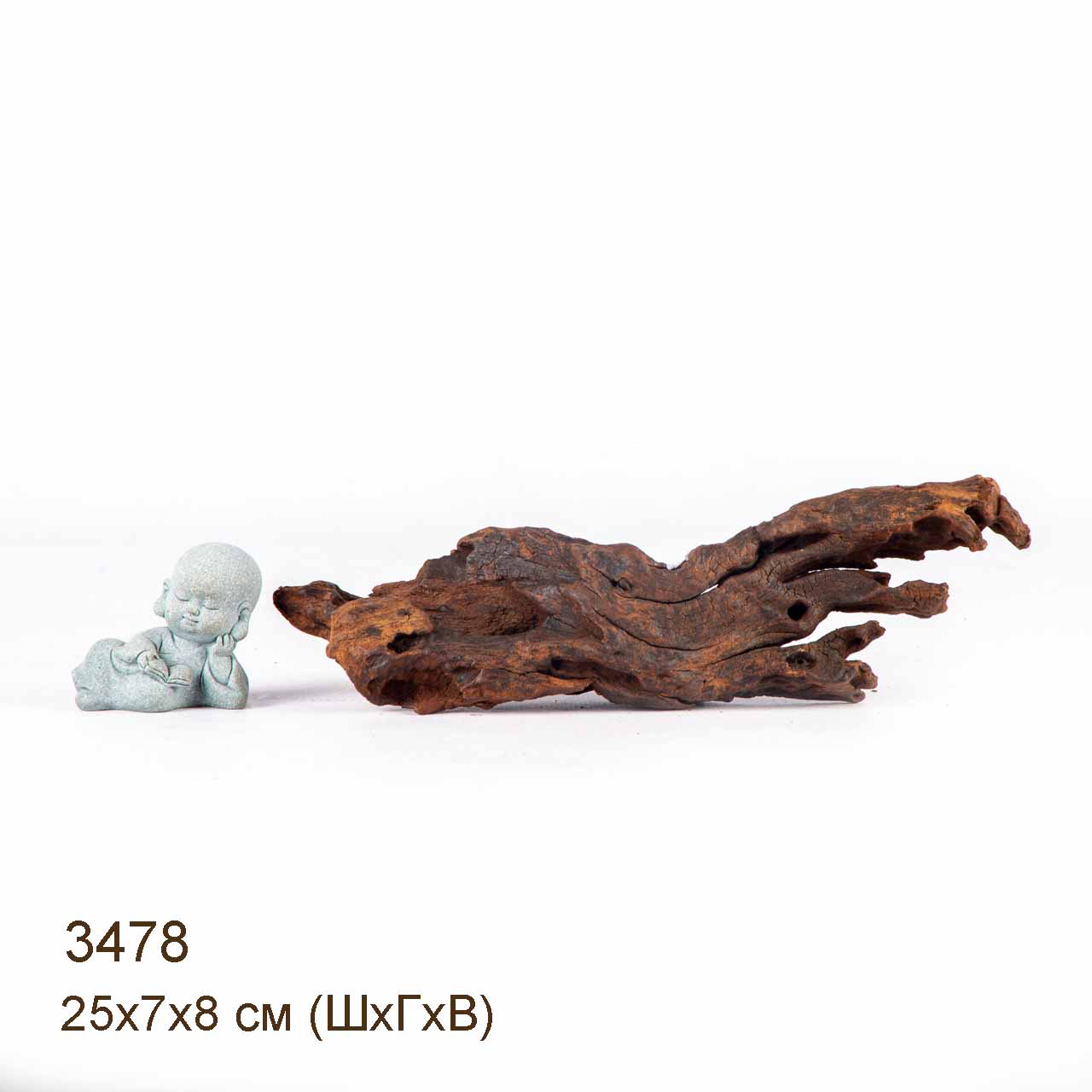 Коряга MASHA BLOOM "Железное дерево" затонувшая мангровая S - 3478