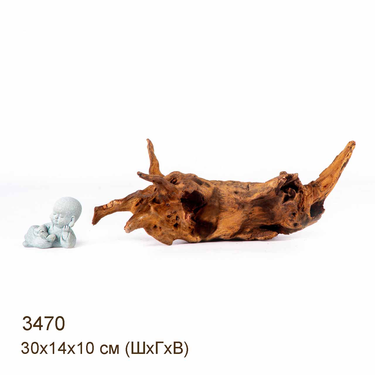 Коряга MASHA BLOOM "Железное дерево" затонувшая мангровая S - 3470