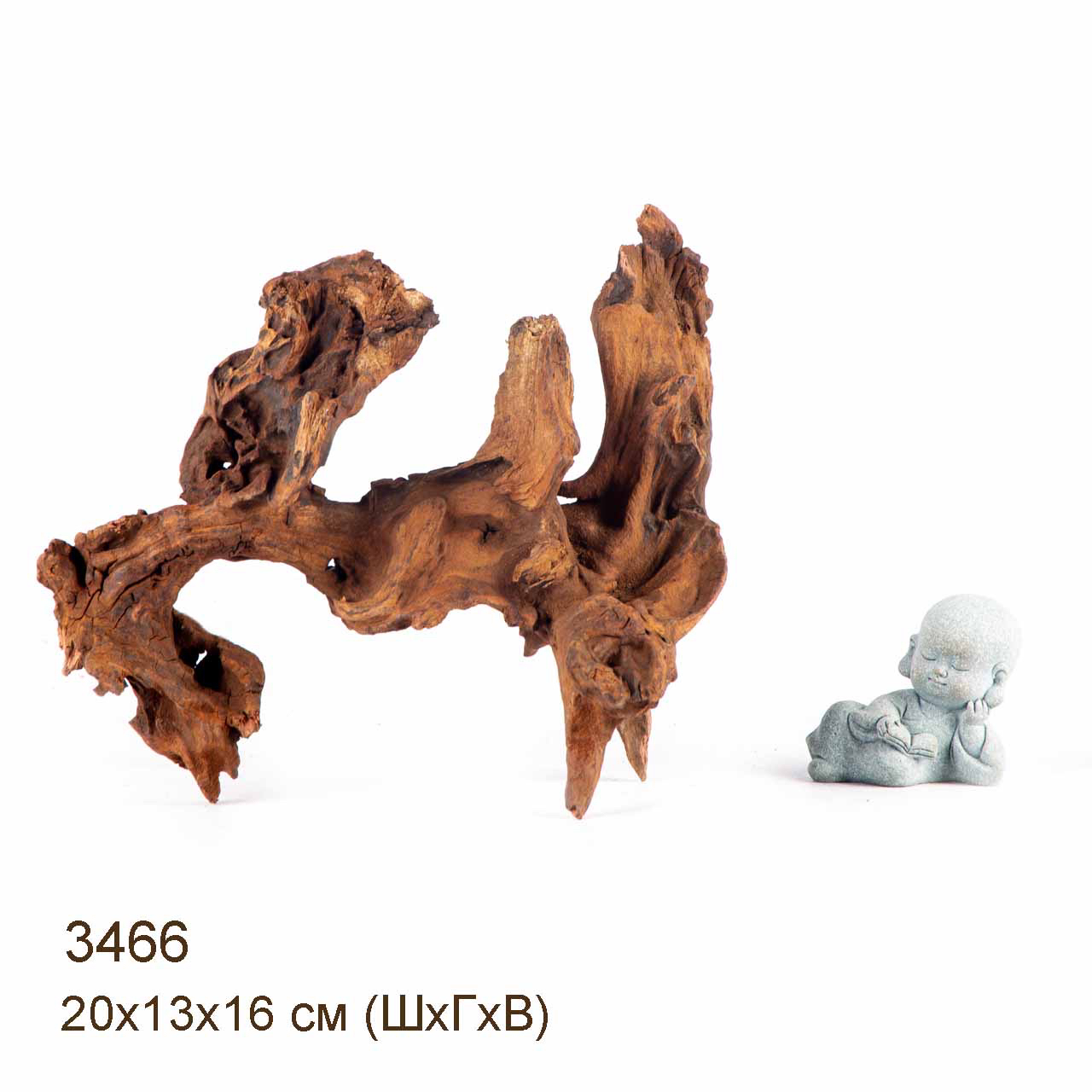 Коряга MASHA BLOOM "Железное дерево" затонувшая мангровая S - 3466