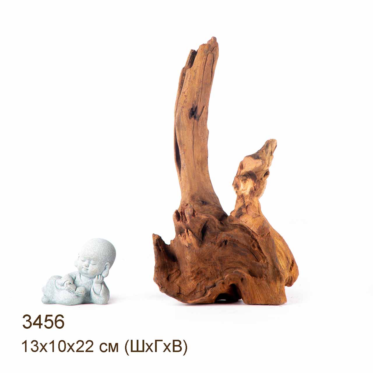 Коряга MASHA BLOOM "Железное дерево" затонувшая мангровая S - 3456