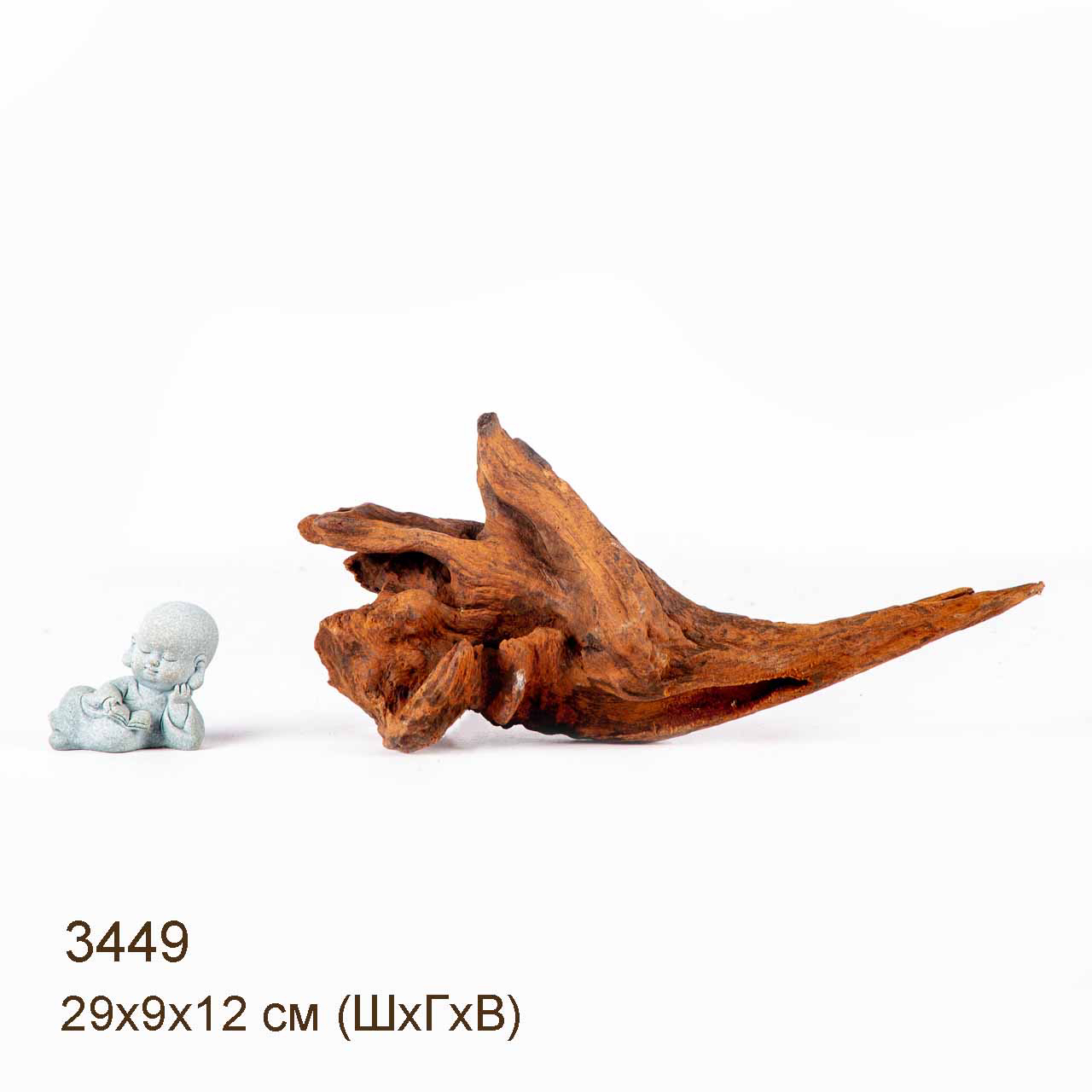 Коряга MASHA BLOOM "Железное дерево" затонувшая мангровая S - 3449