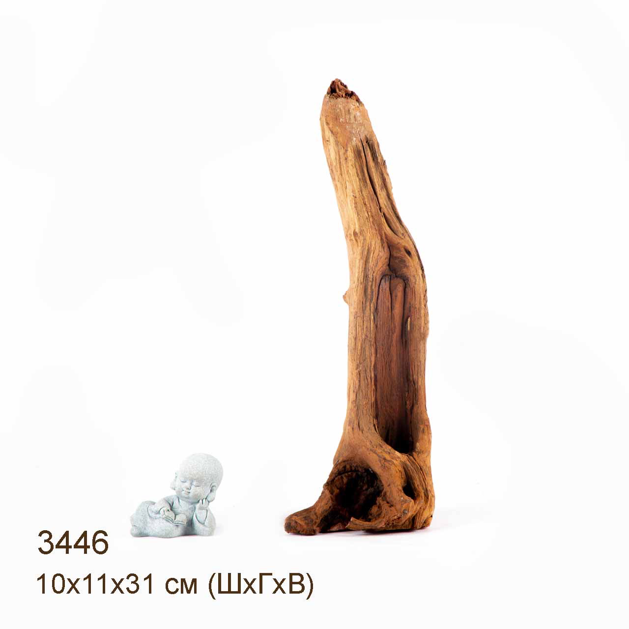 Коряга MASHA BLOOM "Железное дерево" затонувшая мангровая S - 3446