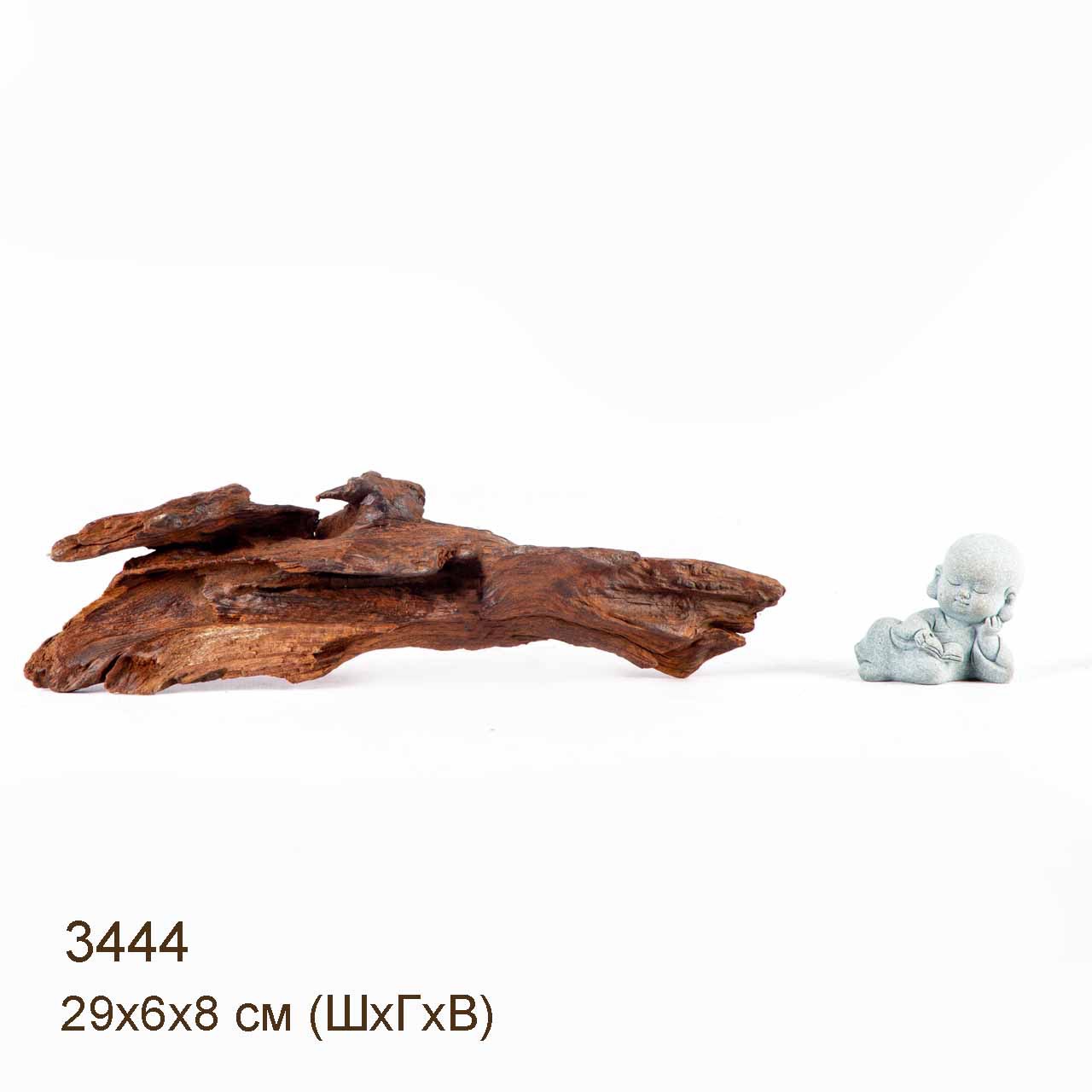 Коряга MASHA BLOOM "Железное дерево" затонувшая мангровая S - 3444