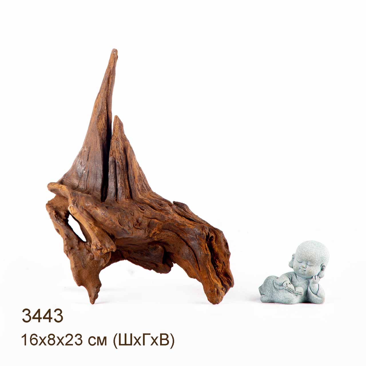 Коряга MASHA BLOOM "Железное дерево" затонувшая мангровая S - 3443