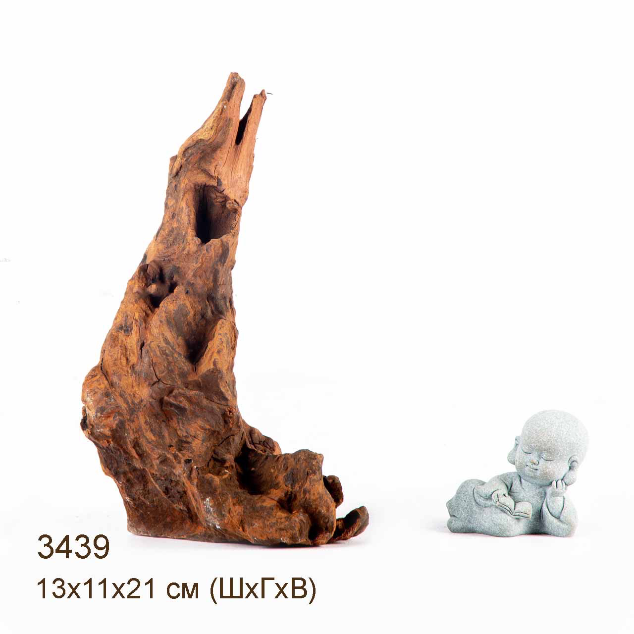 Коряга MASHA BLOOM "Железное дерево" затонувшая мангровая S - 3439