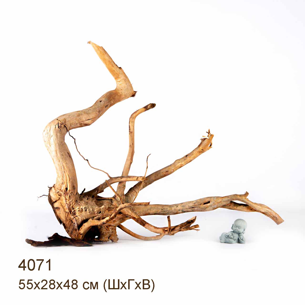 Коряга MASHA BLOOM Корень азалии XXL - 4071