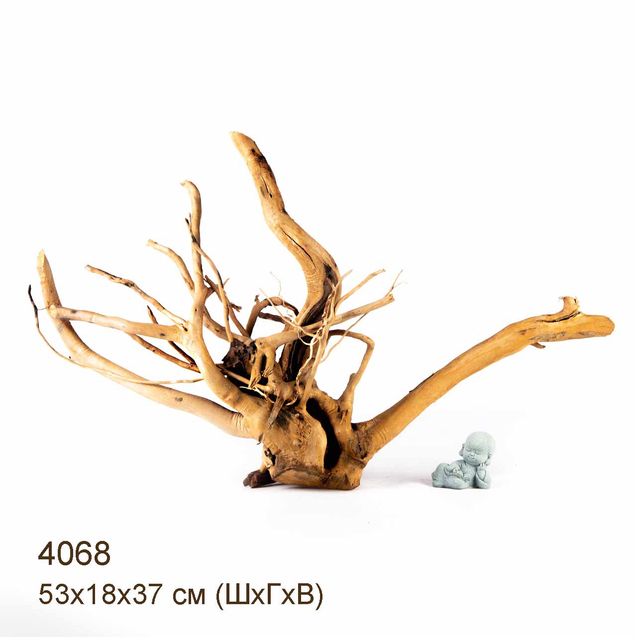 Коряга MASHA BLOOM Корень азалии XXL - 4068