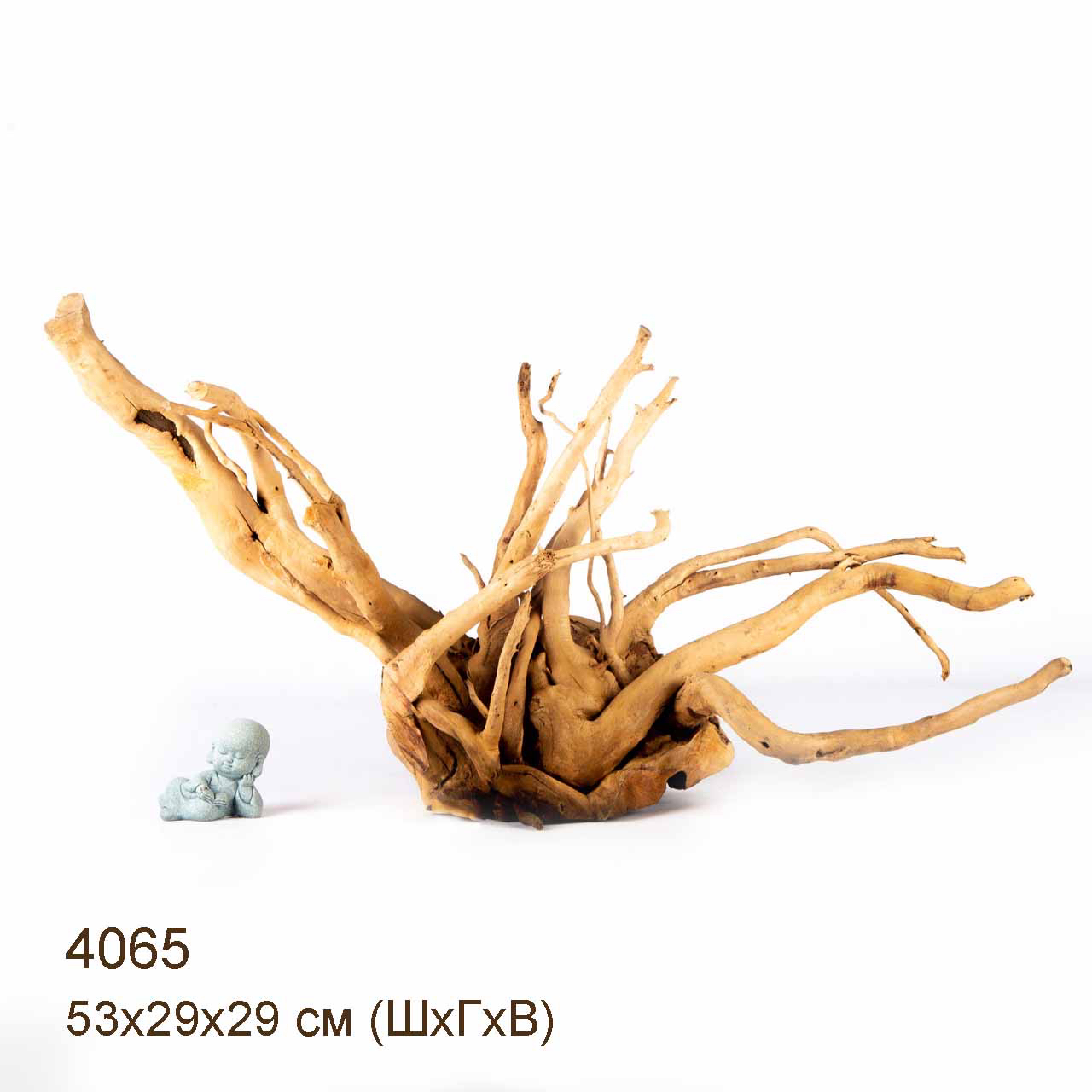 Коряга MASHA BLOOM Корень азалии XXL - 4065