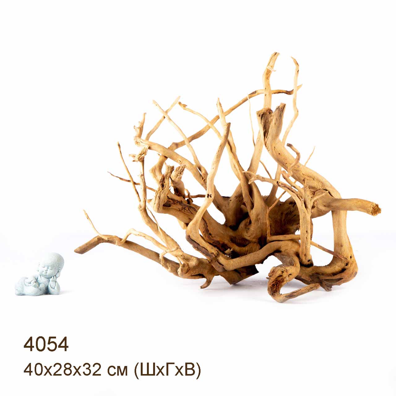 Коряга MASHA BLOOM Корень азалии XXL - 4054