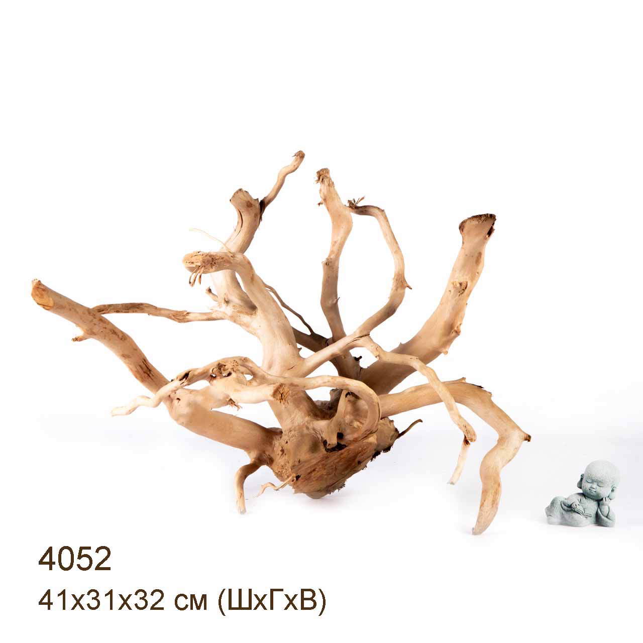 Коряга MASHA BLOOM Корень азалии XXL - 4052