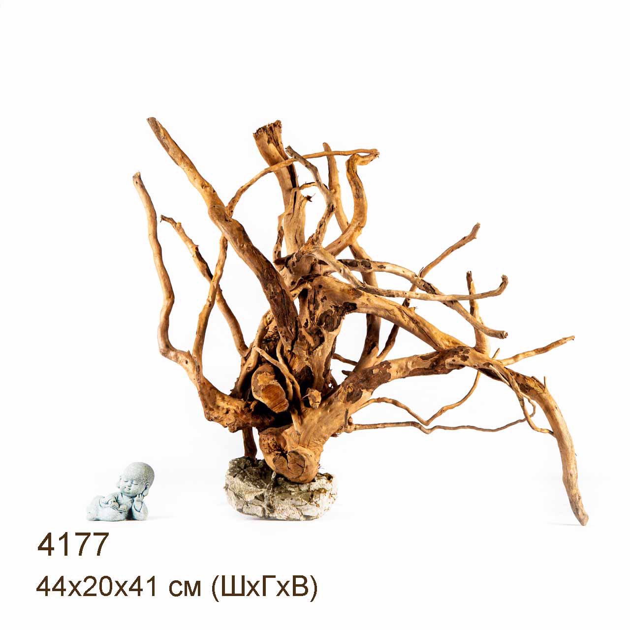 Коряга MASHA BLOOM Корень азалии XL - 4177