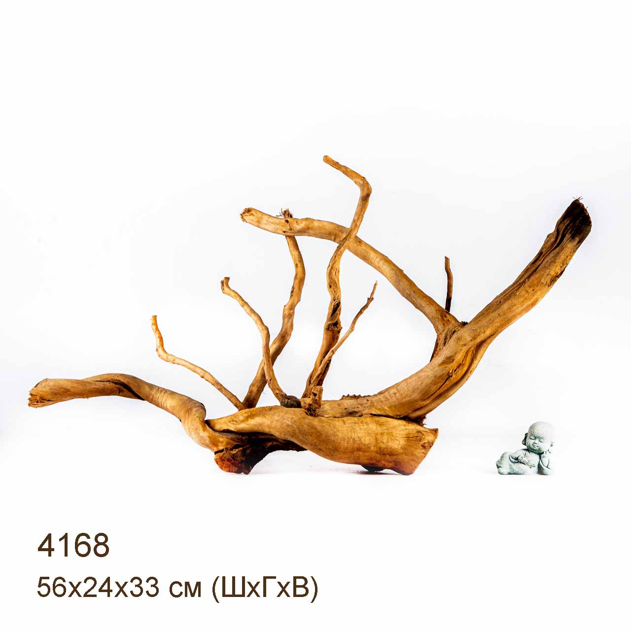 Коряга MASHA BLOOM Корень азалии XL - 4168