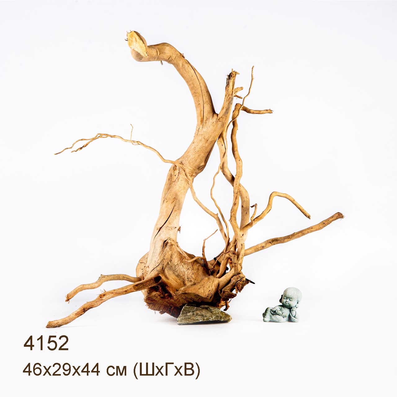 Коряга MASHA BLOOM Корень азалии XL - 4152