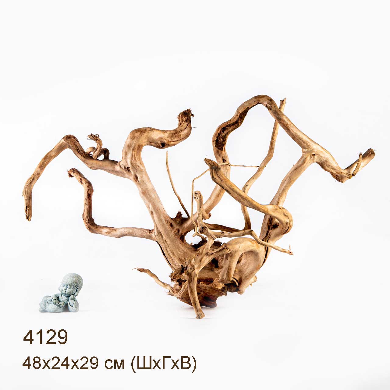 Коряга MASHA BLOOM Корень азалии XL - 4129