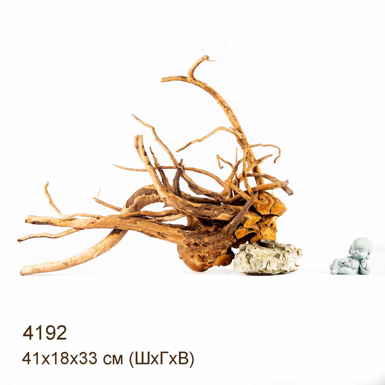 Коряга MASHA BLOOM Корень азалии XL - 4192