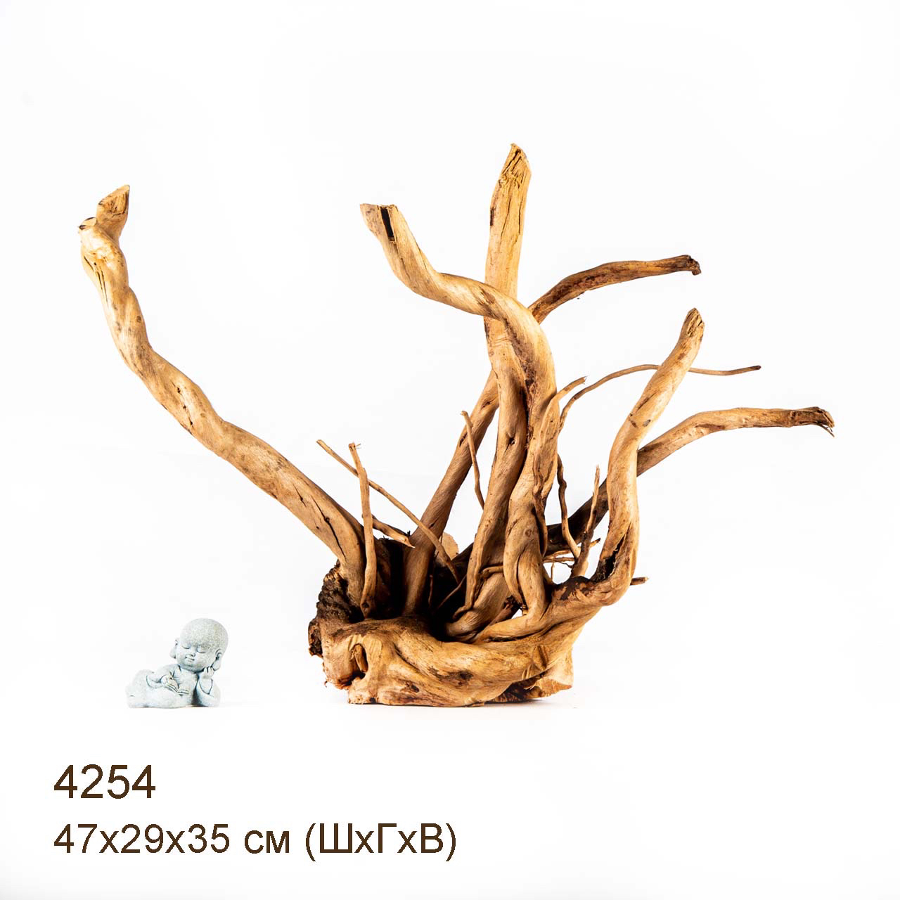 Коряга MASHA BLOOM Корень азалии XL - 4254