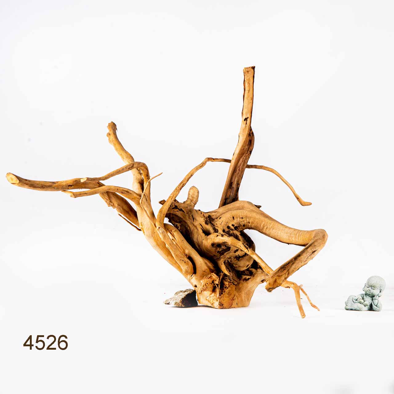 Коряга MASHA BLOOM Корень азалии L - 4526