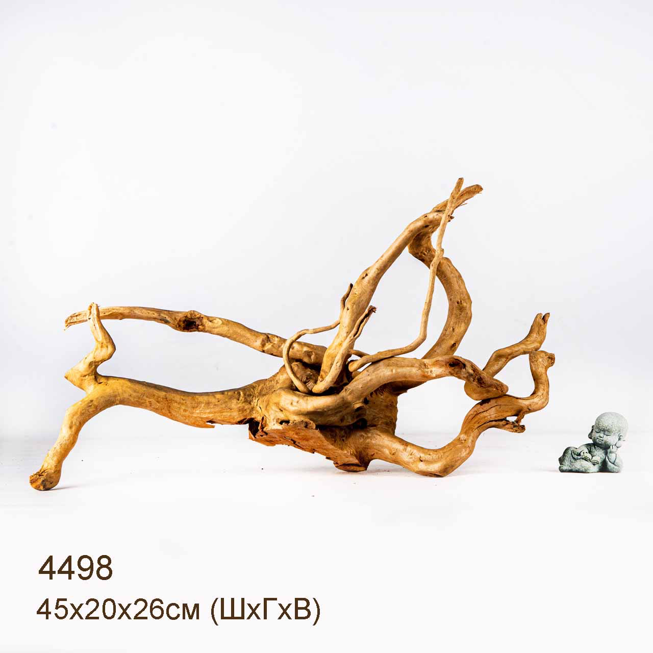 Коряга MASHA BLOOM Корень азалии L - 4498