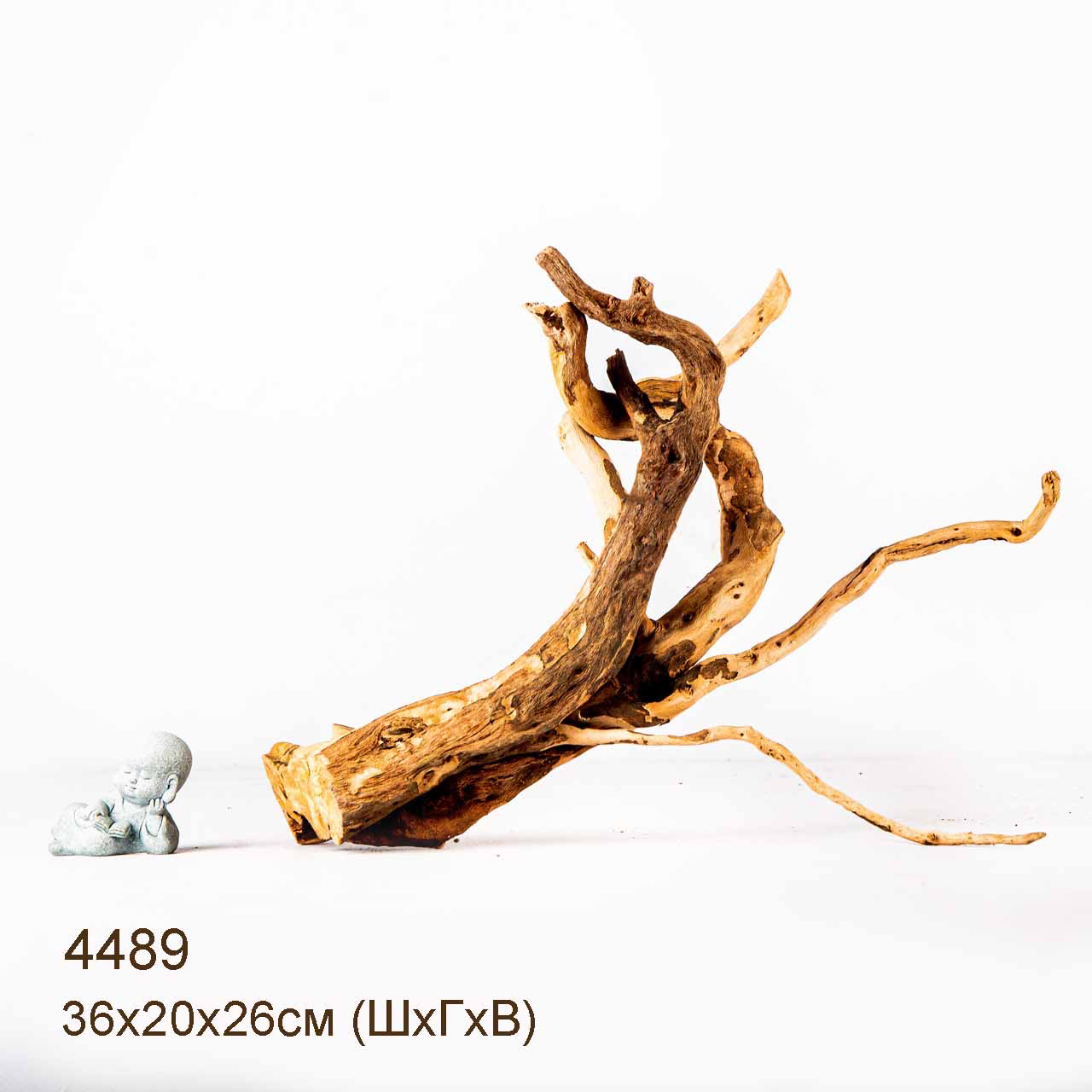 Коряга MASHA BLOOM Корень азалии L - 4489