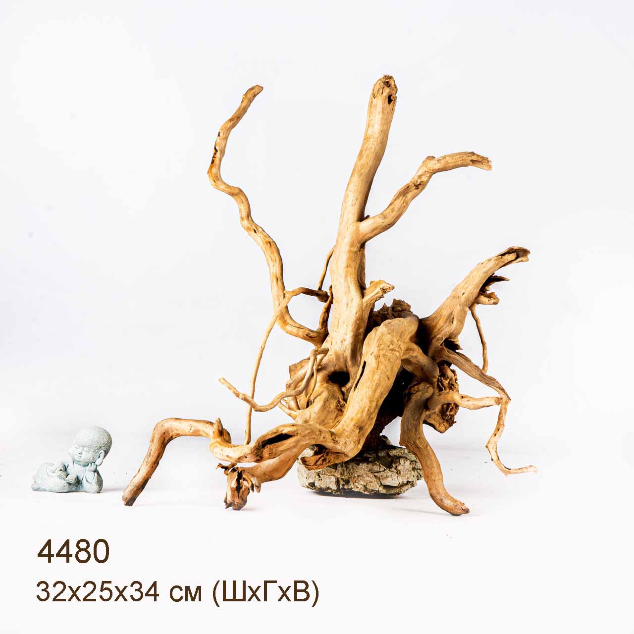 Коряга MASHA BLOOM Корень азалии L - 4480