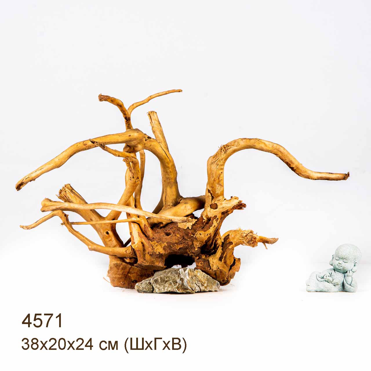 Коряга MASHA BLOOM Корень азалии M - 4571